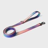 Comfort Control Dog Leash (Multi Color)