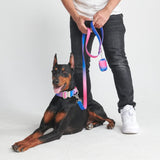 Tactical Dog Collar - Snow Cone (1.5"/4cm)