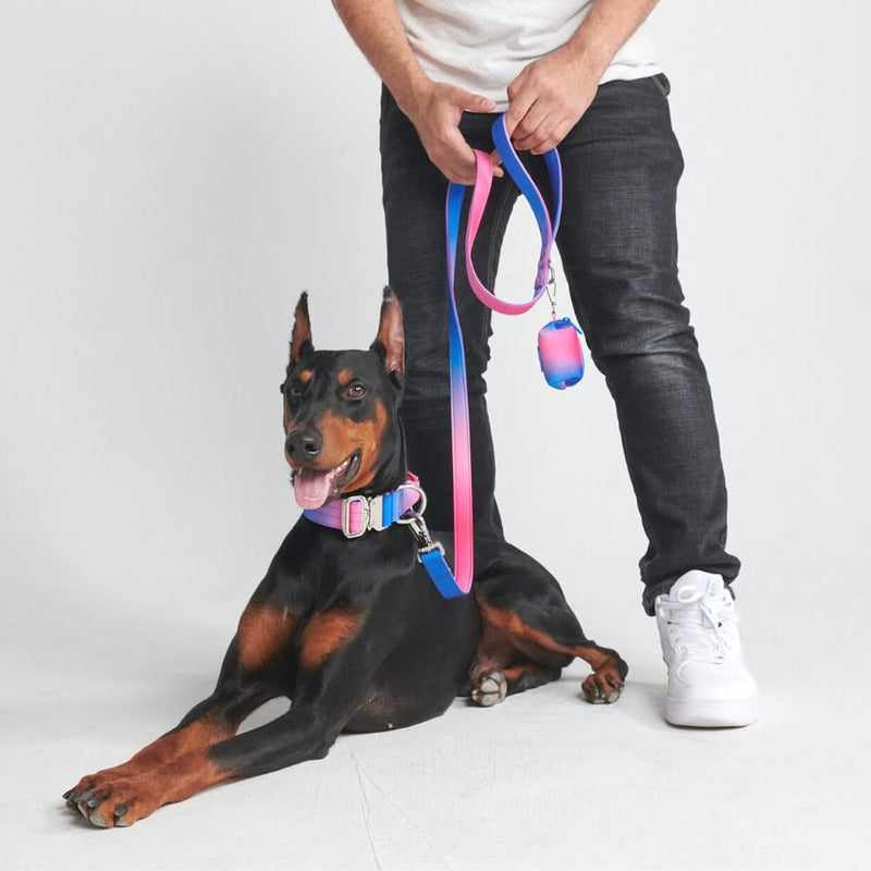 Tactical Dog Collar - Snow Cone (1.5"/4cm)