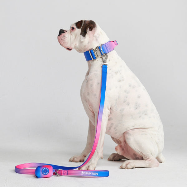 Tactical Dog Collar Set - Snow Cone