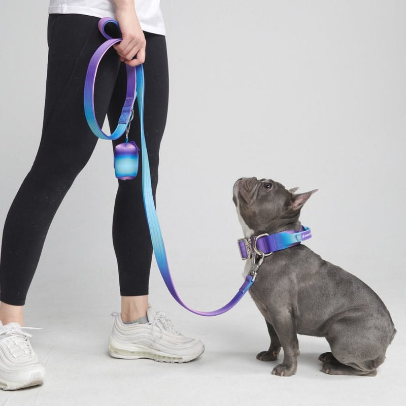 Tactical Dog Collar - 90s Retro (1.5"/4cm)