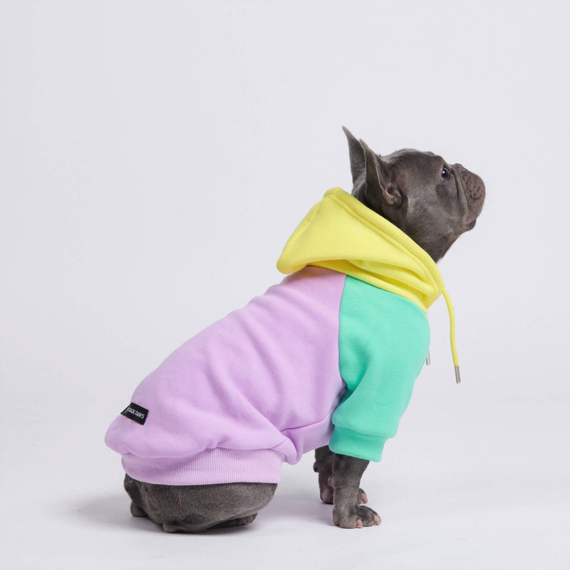 premium dog apparel sweater hoodies for winter, suitable for pit bulls, french bulldogs, big dogs, pugs, staffies and more