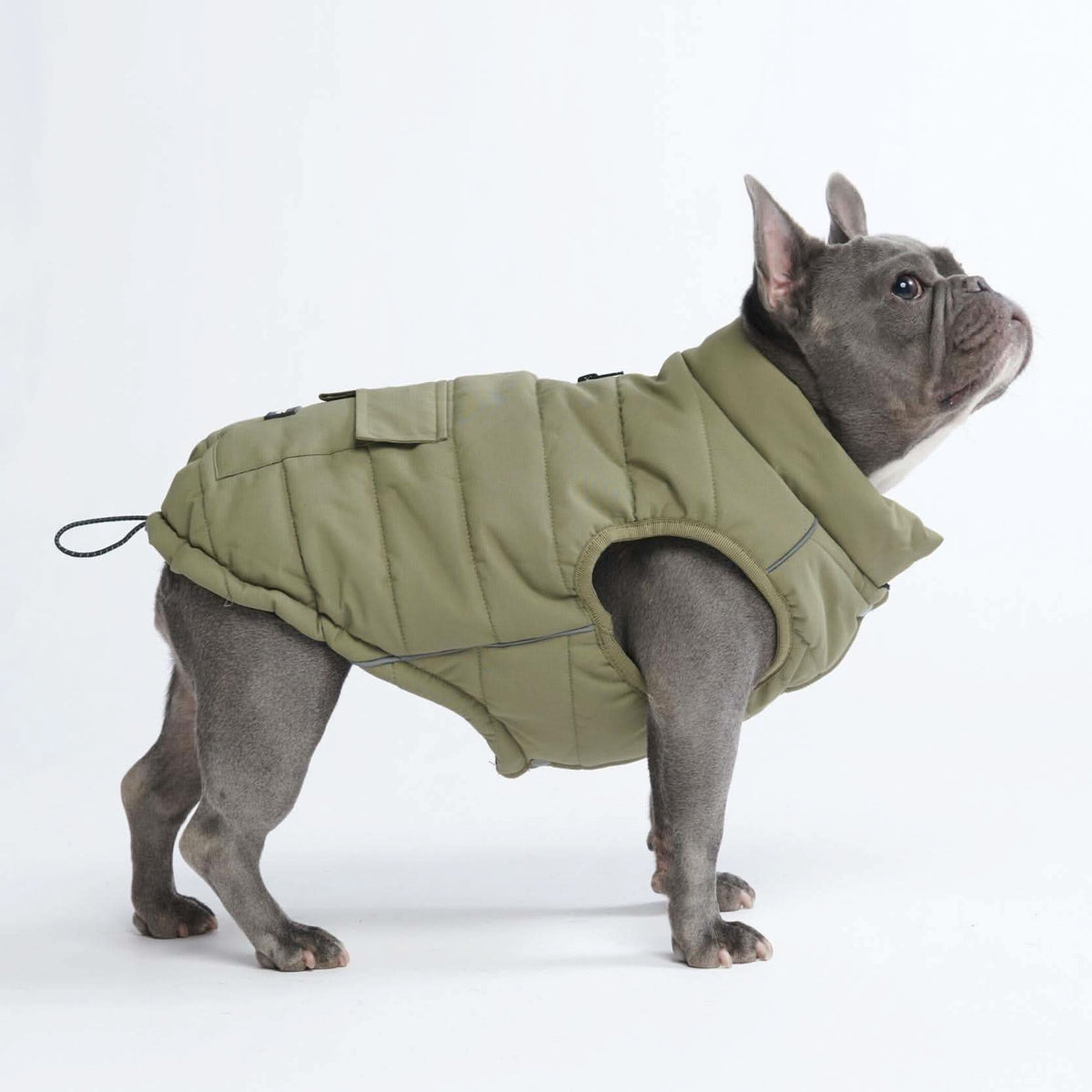 Winter Jacket Coats for Dogs Premium Vests and More SPARK PAWS