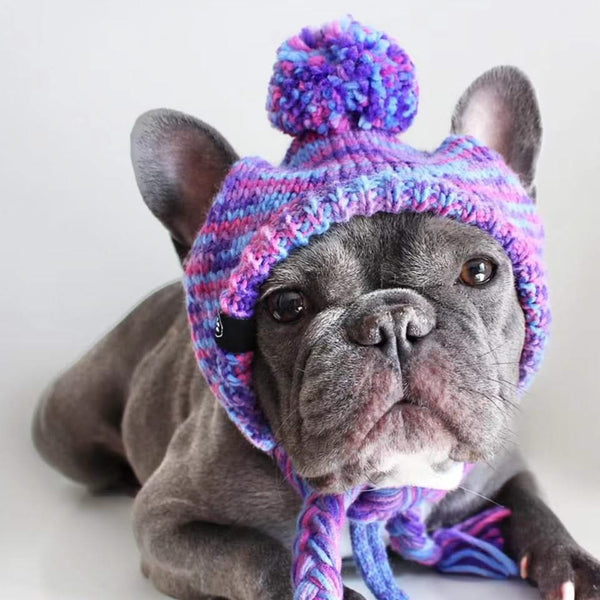 Knit Pom Pom Dog Beanie Hat - Purple & Lavender