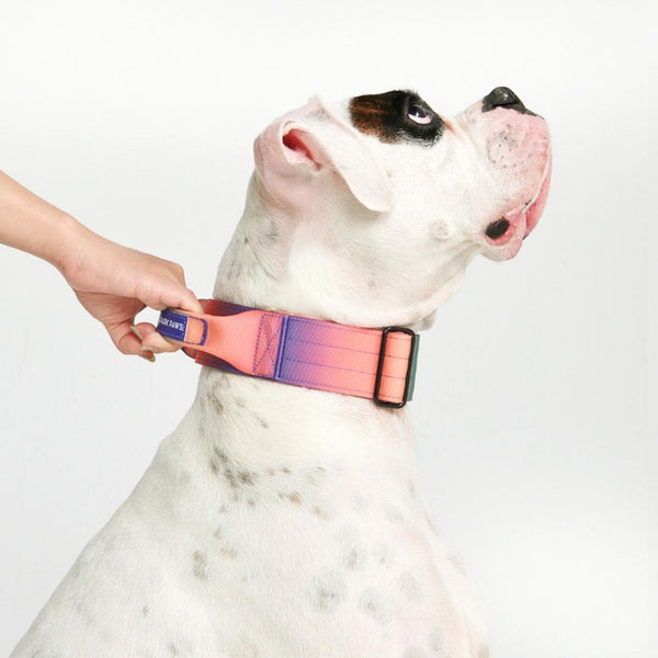 Tactical Dog Collar - Kaleidoscope (2"/5cm)