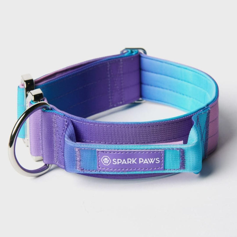 Comfort Control Collar - 90s Retro