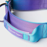 Comfort Control Collar - 90s Retro