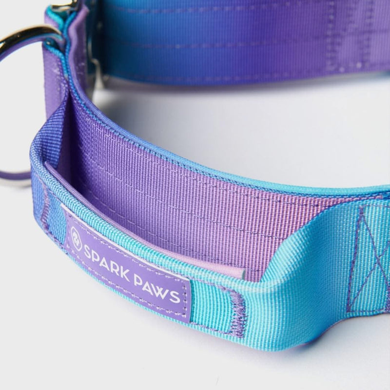 Comfort Control Collar - 90s Retro