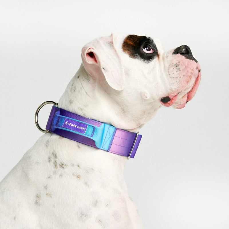 Comfort Control Collar - 90s Retro