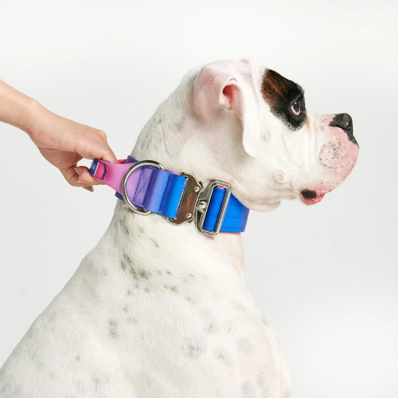 Comfort Control Collar - Snow Cone