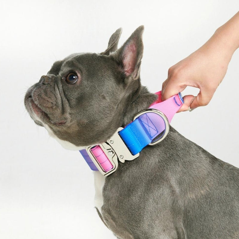 Tactical Dog Collars (1.5"/4cm)