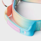 Tactical Dog Collars (1.5"/4cm)