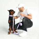 Tactical Dog Collar - Lilac (1.5"/4cm)
