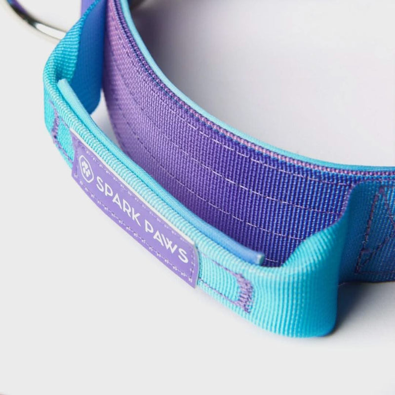 Tactical Dog Collar - 90s Retro (1.5"/4cm)