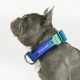 Tactical Dog Collar - Lime Waves (1.5"/4cm)