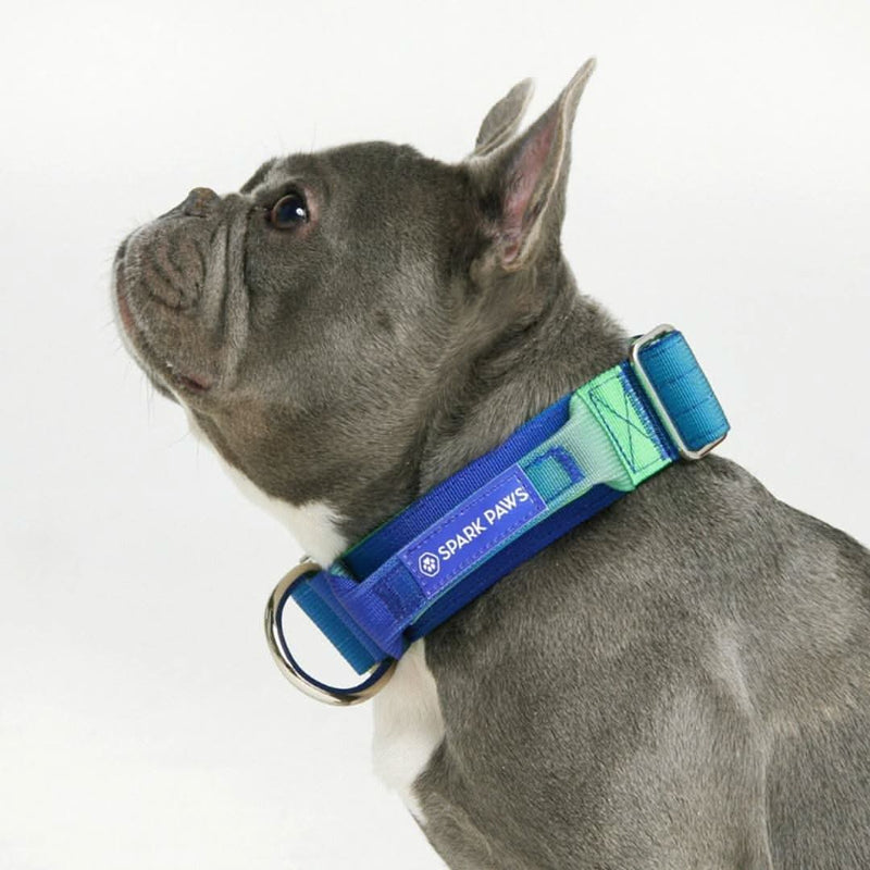 Tactical Dog Collar - Lime Waves (1.5"/4cm)