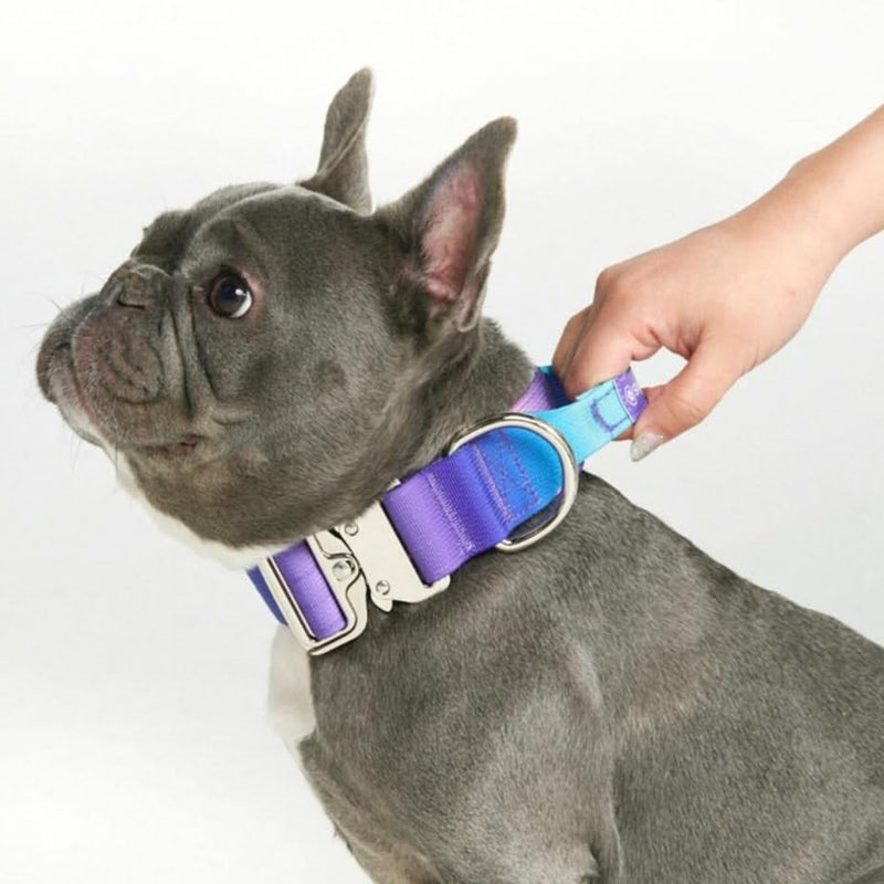 Tactical Dog Collar - 90s Retro (1.5"/4cm)