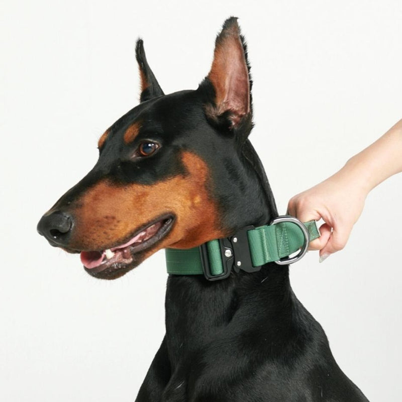 Tactical Dog Collar - Army Green (1.5"/4cm)