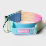 Comfort Control Collar - Pastel Icing