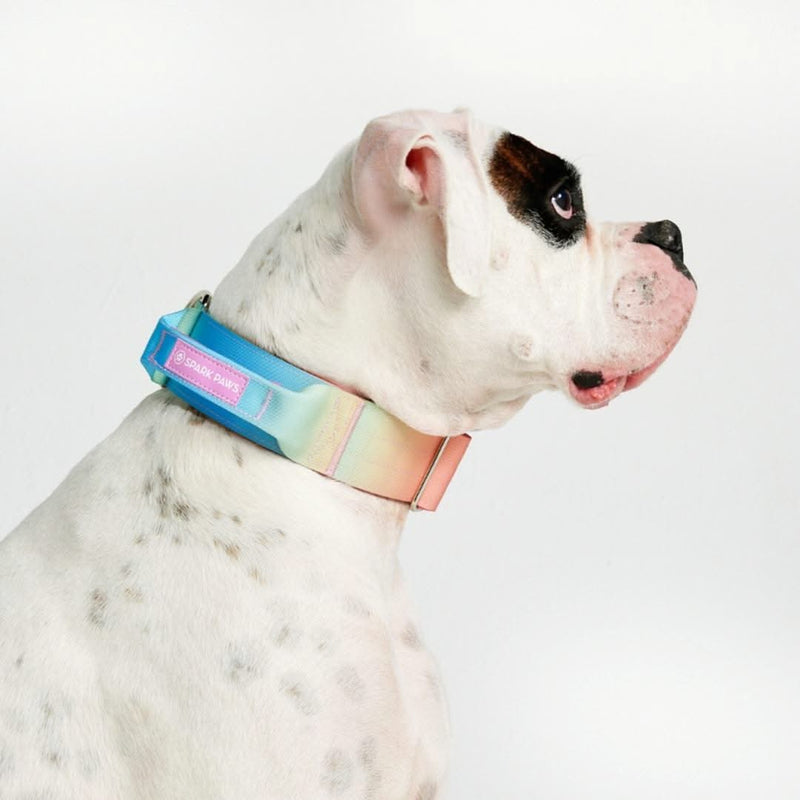 Comfort Control Collar - Pastel Icing