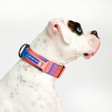 Tactical Dog Collar - Kaleidoscope (2"/5cm)